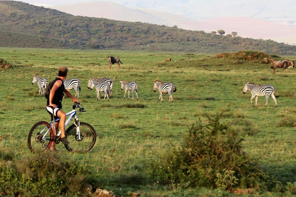 Biking, Tour