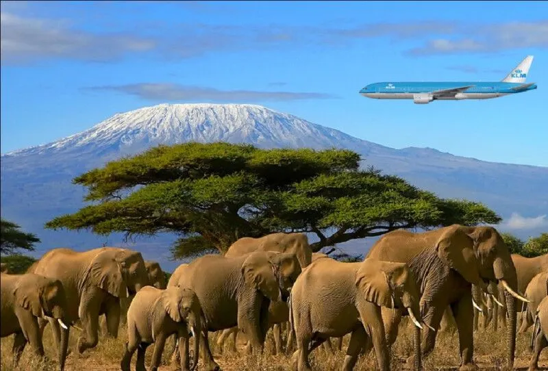 Day 1: Arrival in Arusha